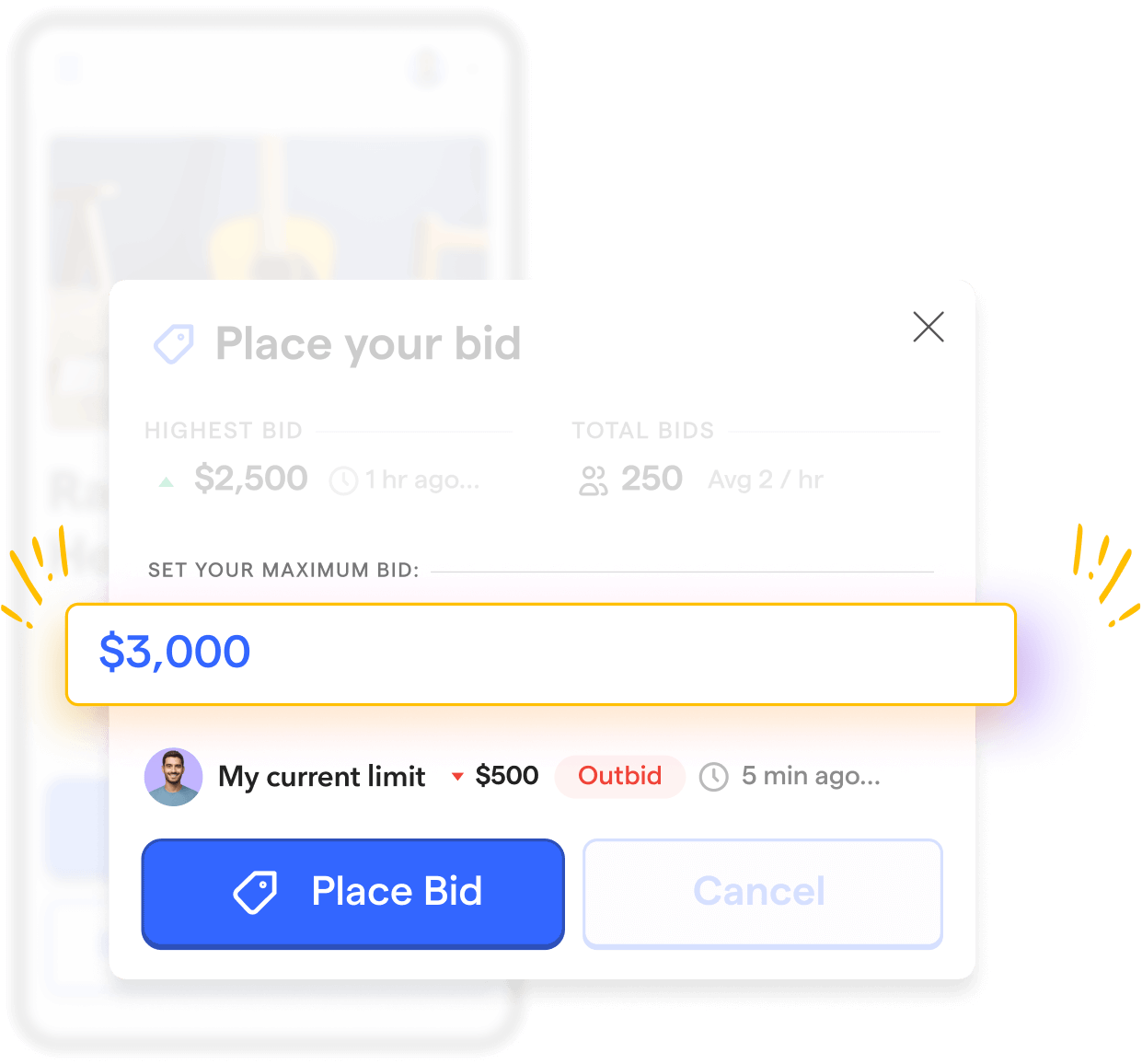 Screenshot of an auction item's maximum bid example