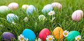 Colorful Easter eggs and daisies in green grass