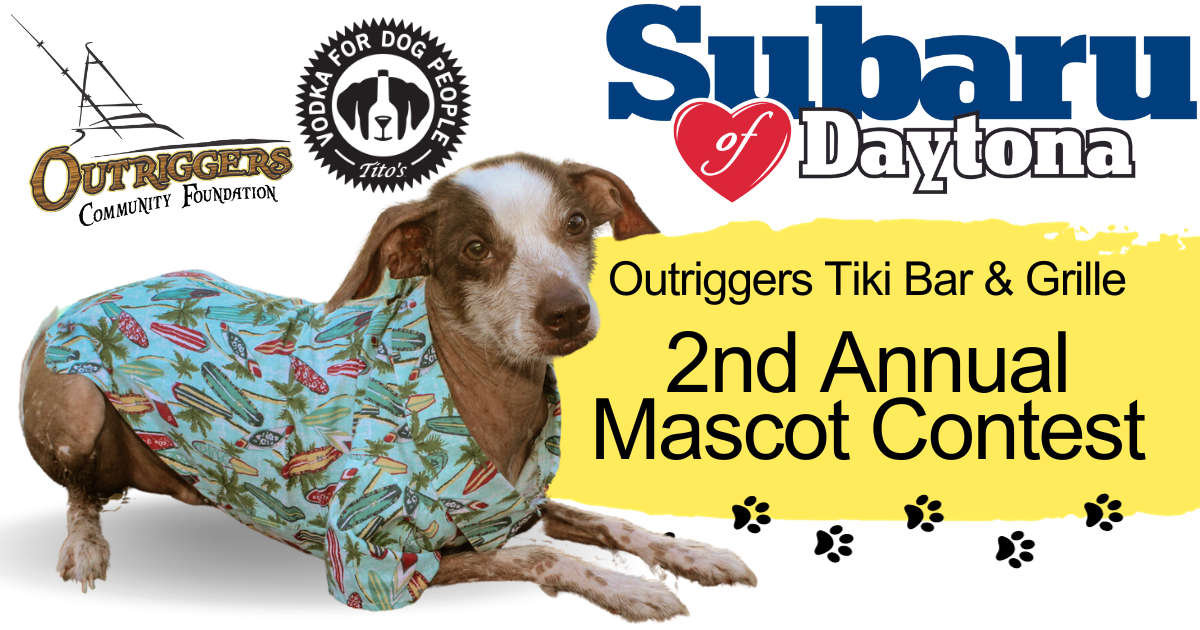 Campaign cover image for 2nd Annual Mascot Contest Benefit